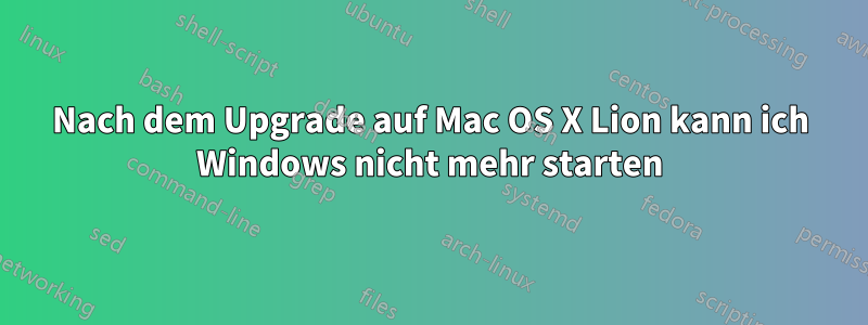 Nach dem Upgrade auf Mac OS X Lion kann ich Windows nicht mehr starten