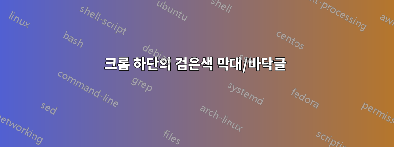 크롬 하단의 검은색 막대/바닥글