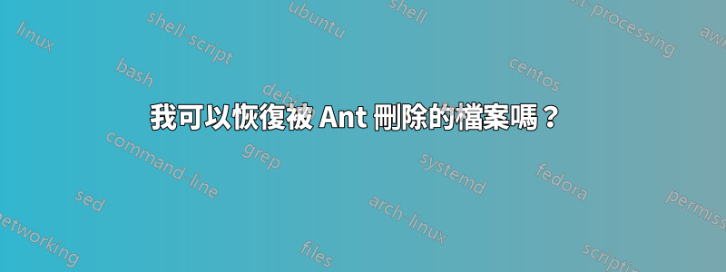 我可以恢復被 Ant 刪除的檔案嗎？ 