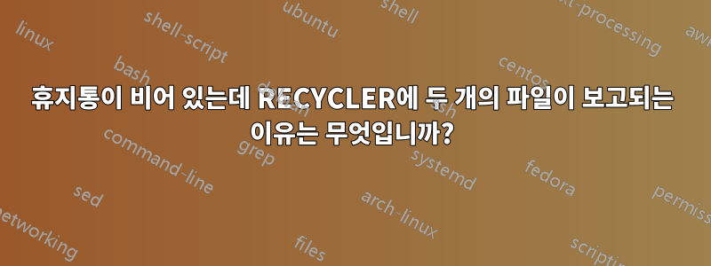 휴지통이 비어 있는데 RECYCLER에 두 개의 파일이 보고되는 이유는 무엇입니까?