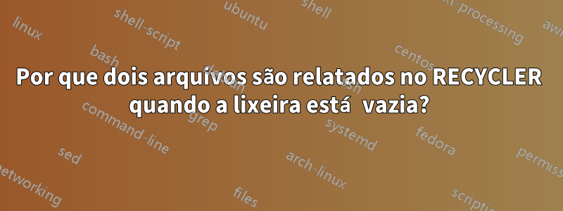 Por que dois arquivos são relatados no RECYCLER quando a lixeira está vazia?