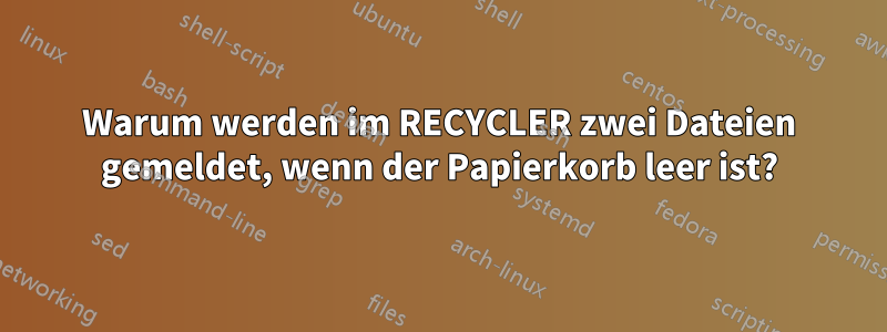 Warum werden im RECYCLER zwei Dateien gemeldet, wenn der Papierkorb leer ist?