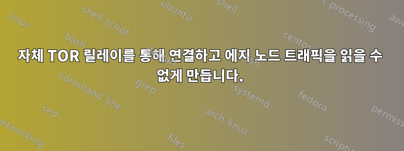 자체 TOR 릴레이를 통해 연결하고 에지 노드 트래픽을 읽을 수 없게 만듭니다.