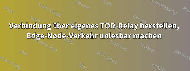 Verbindung über eigenes TOR-Relay herstellen, Edge-Node-Verkehr unlesbar machen