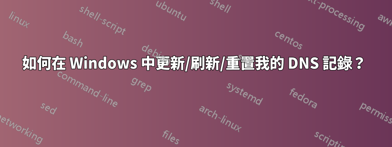 如何在 Windows 中更新/刷新/重置我的 DNS 記錄？