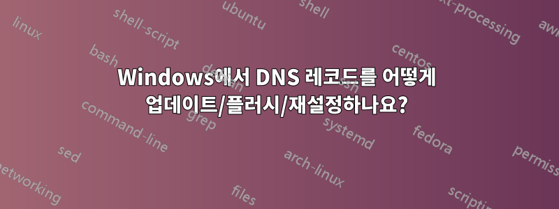 Windows에서 DNS 레코드를 어떻게 업데이트/플러시/재설정하나요?