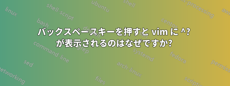 バックスペースキーを押すと vim に ^? が表示されるのはなぜですか?