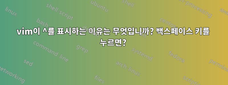 vim이 ^를 표시하는 이유는 무엇입니까? 백스페이스 키를 누르면?