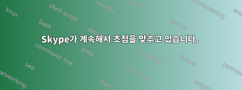 Skype가 계속해서 초점을 맞추고 있습니다.