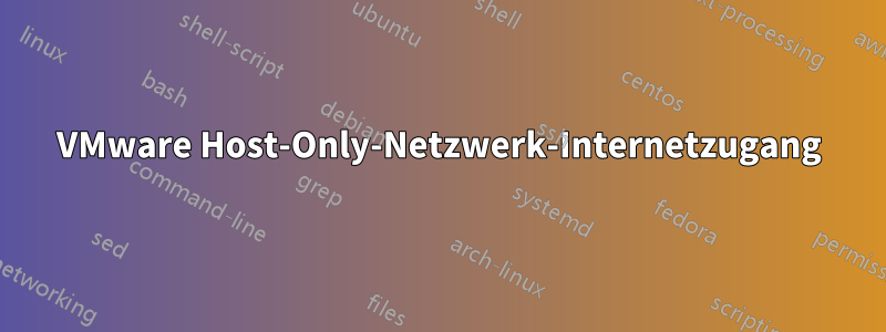 VMware Host-Only-Netzwerk-Internetzugang
