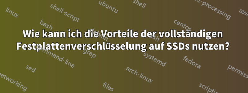 Wie kann ich die Vorteile der vollständigen Festplattenverschlüsselung auf SSDs nutzen?
