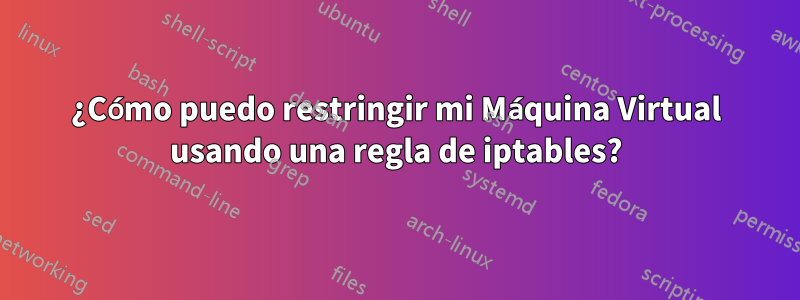 ¿Cómo puedo restringir mi Máquina Virtual usando una regla de iptables?
