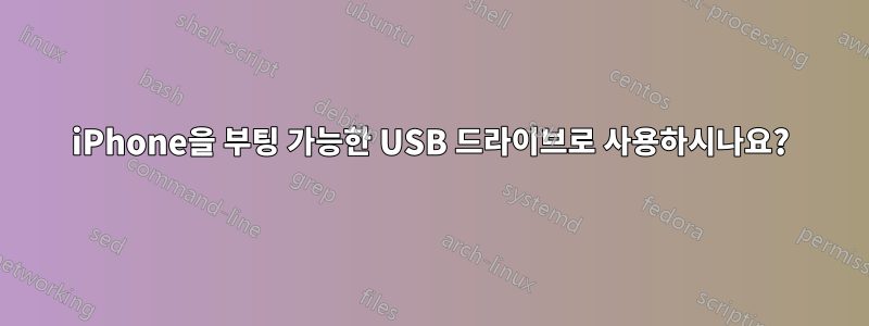 iPhone을 부팅 가능한 USB 드라이브로 사용하시나요?