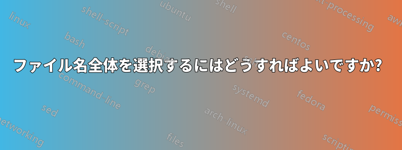 ファイル名全体を選択するにはどうすればよいですか? 