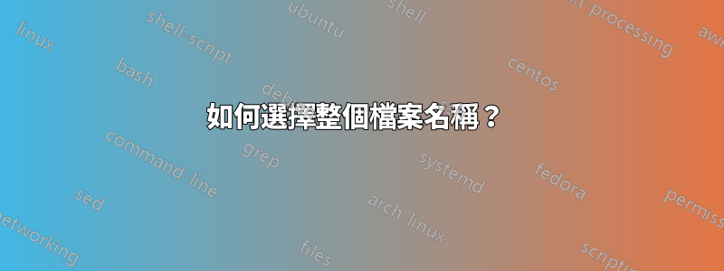 如何選擇整個檔案名稱？ 