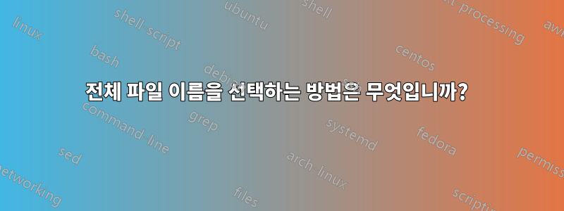 전체 파일 이름을 선택하는 방법은 무엇입니까? 