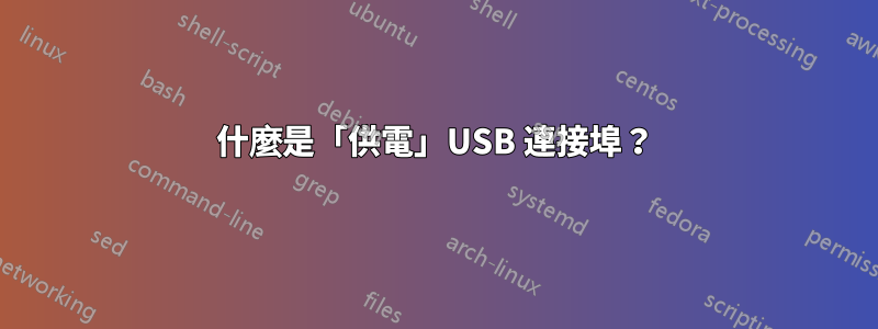 什麼是「供電」USB 連接埠？