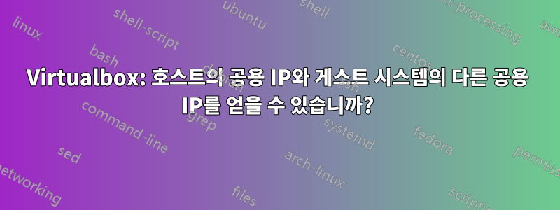 Virtualbox: 호스트의 공용 IP와 게스트 시스템의 다른 공용 IP를 얻을 수 있습니까?