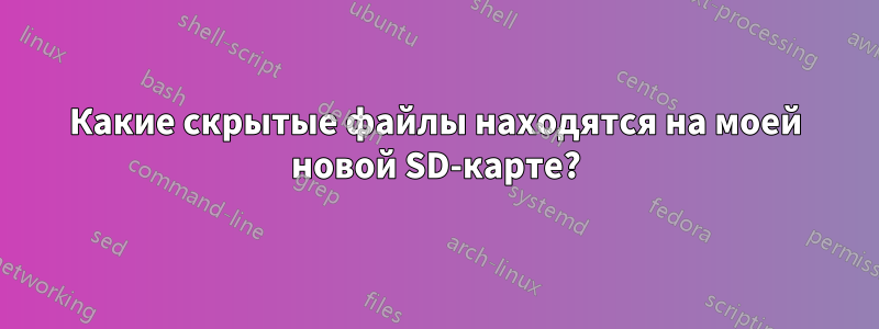 Какие скрытые файлы находятся на моей новой SD-карте?
