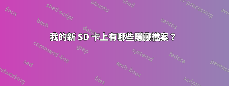 我的新 SD 卡上有哪些隱藏檔案？