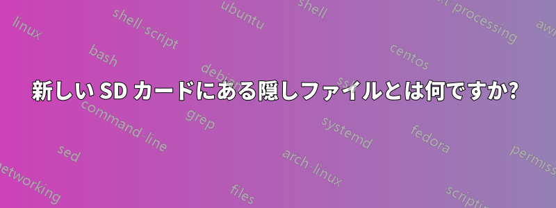 新しい SD カードにある隠しファイルとは何ですか?