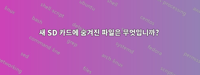 새 SD 카드에 숨겨진 파일은 무엇입니까?