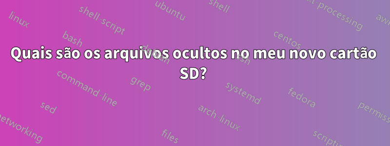 Quais são os arquivos ocultos no meu novo cartão SD?