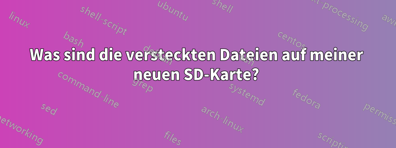 Was sind die versteckten Dateien auf meiner neuen SD-Karte?