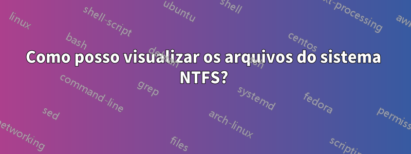 Como posso visualizar os arquivos do sistema NTFS?