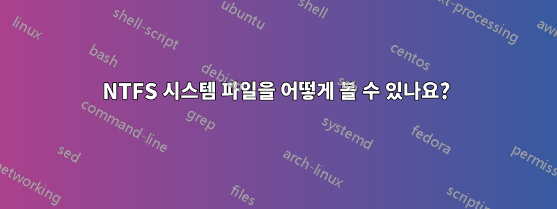 NTFS 시스템 파일을 어떻게 볼 수 있나요?