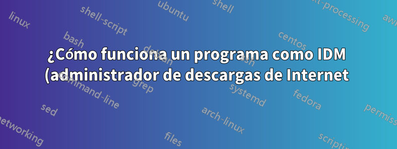 ¿Cómo funciona un programa como IDM (administrador de descargas de Internet)?