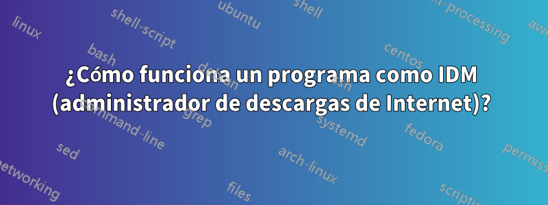 ¿Cómo funciona un programa como IDM (administrador de descargas de Internet)?