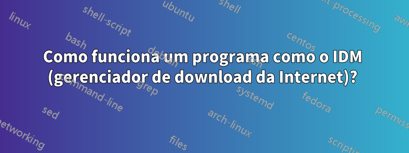 Como funciona um programa como o IDM (gerenciador de download da Internet)?