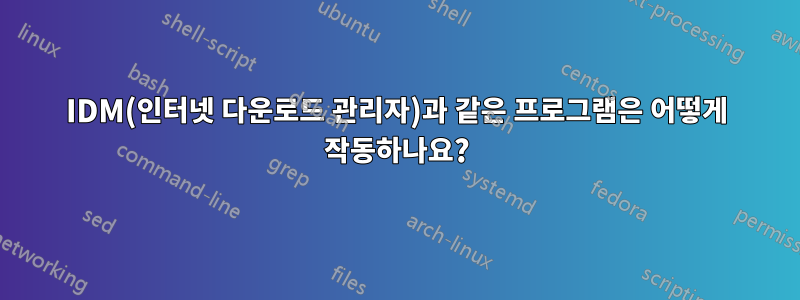 IDM(인터넷 다운로드 관리자)과 같은 프로그램은 어떻게 작동하나요?