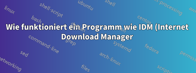 Wie funktioniert ein Programm wie IDM (Internet Download Manager)?
