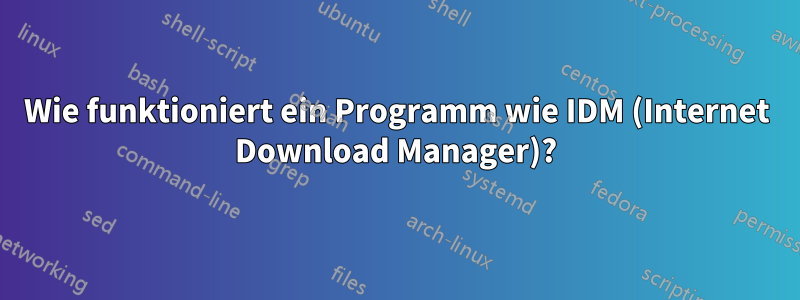 Wie funktioniert ein Programm wie IDM (Internet Download Manager)?