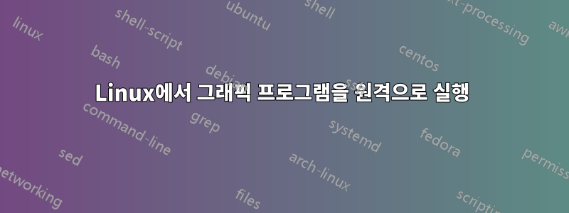 Linux에서 그래픽 프로그램을 원격으로 실행