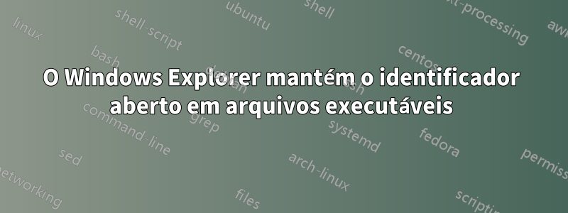 O Windows Explorer mantém o identificador aberto em arquivos executáveis