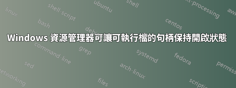 Windows 資源管理器可讓可執行檔的句柄保持開啟狀態