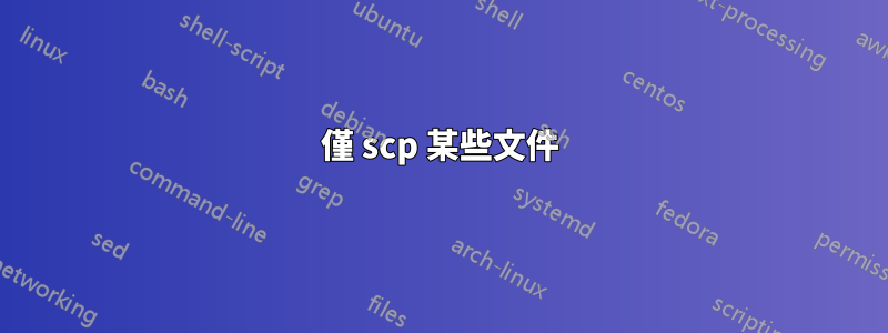 僅 scp 某些文件