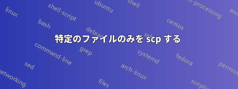 特定のファイルのみを scp する