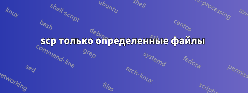 scp только определенные файлы