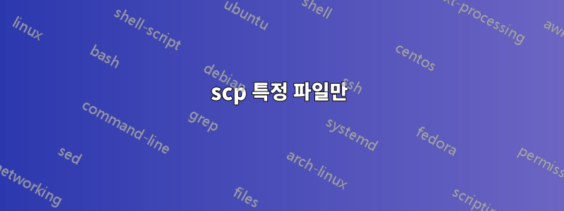 scp 특정 파일만