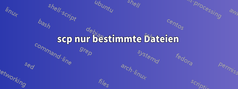 scp nur bestimmte Dateien