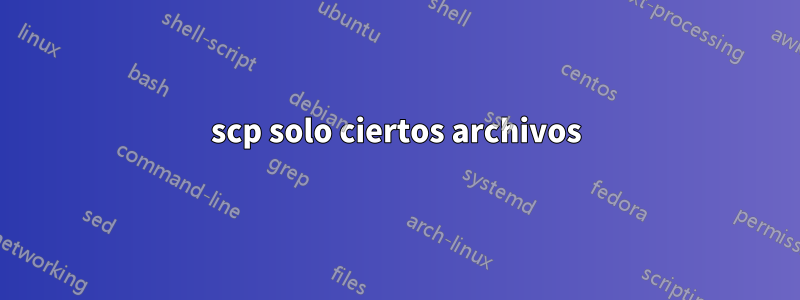 scp solo ciertos archivos