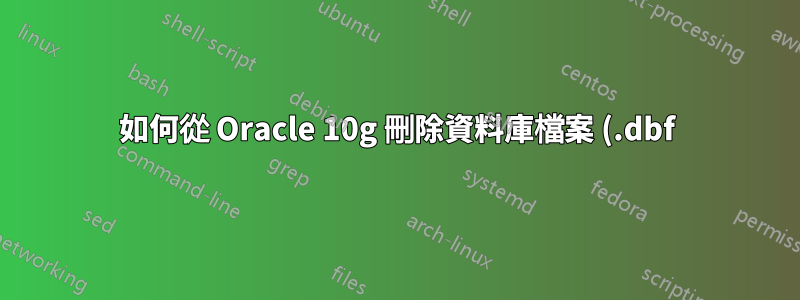 如何從 Oracle 10g 刪除資料庫檔案 (.dbf)?