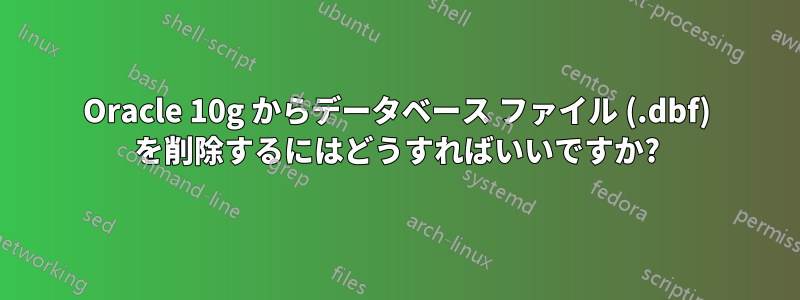 Oracle 10g からデータベース ファイル (.dbf) を削除するにはどうすればいいですか?