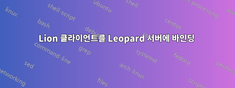 Lion 클라이언트를 Leopard 서버에 바인딩