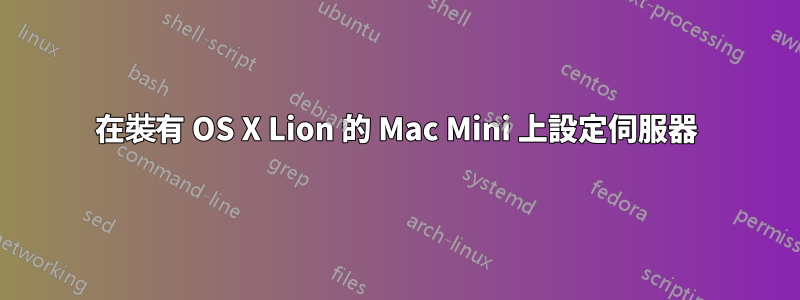 在裝有 OS X Lion 的 Mac Mini 上設定伺服器