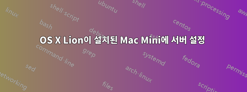 OS X Lion이 설치된 Mac Mini에 서버 설정